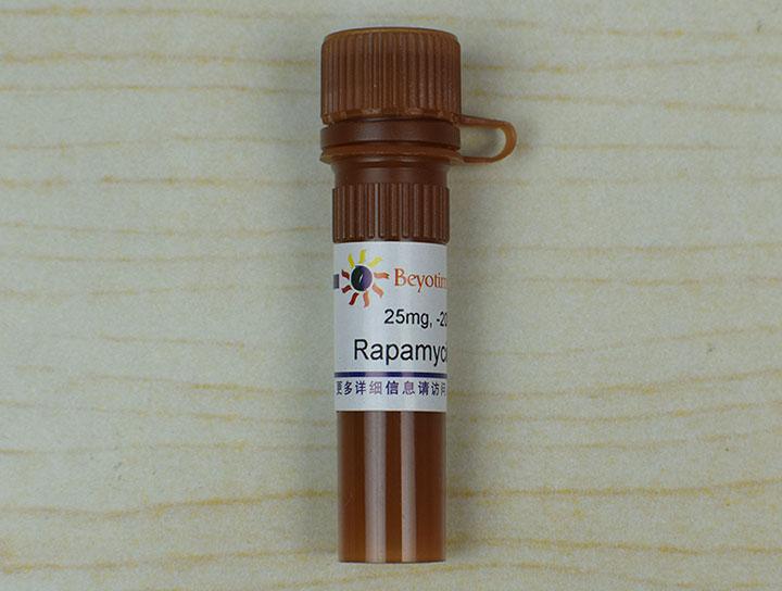 Rapamycin (FRAP/mTOR抑制剂)